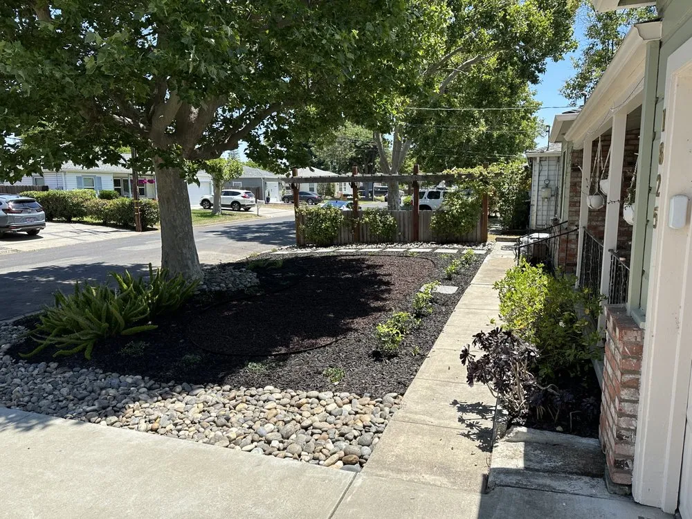 Affordable landscaping services with custom design across Antioch, CA - Holistic Landscape Services