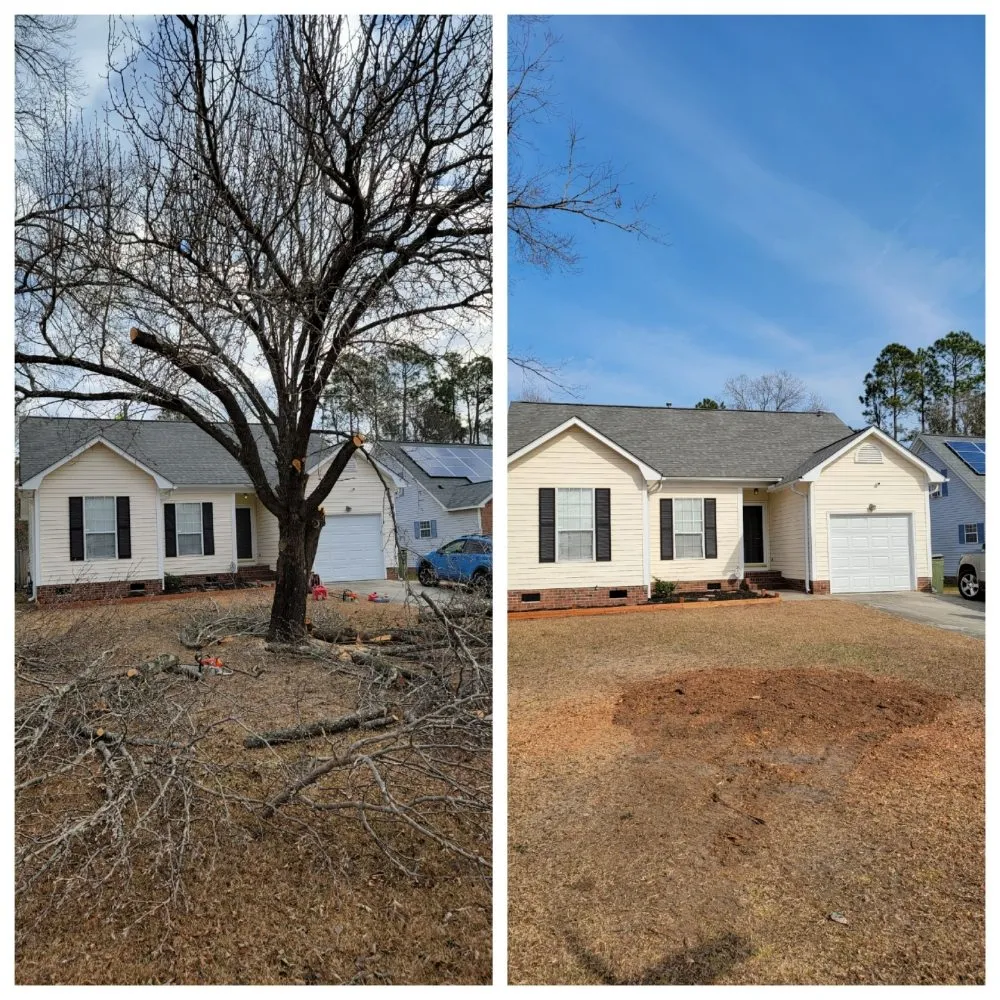 Top-rated lawn mowing service for beautiful yards in Lexington, SC by Holladay's Lawn & Tree Service