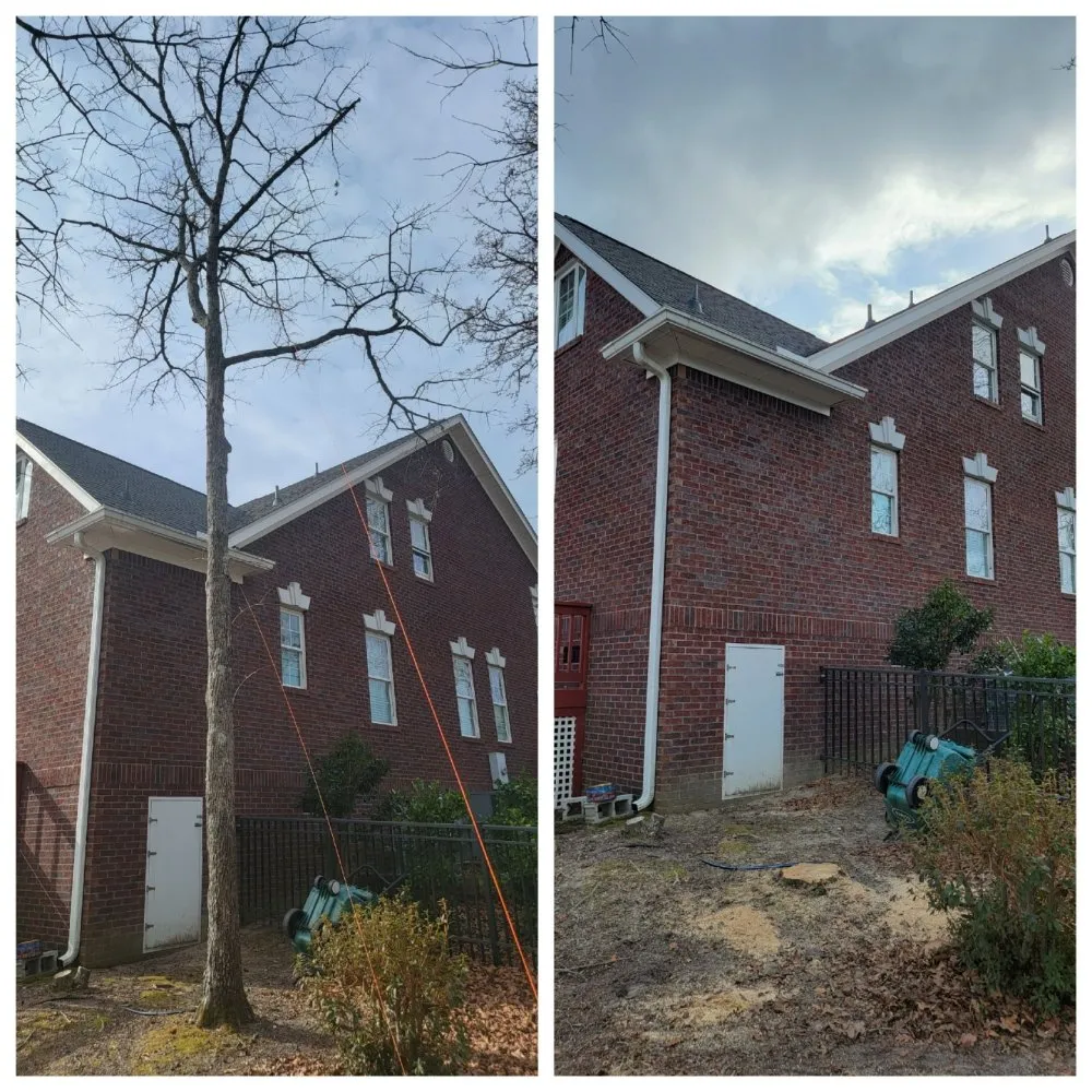 Local yard cleanup service in Lexington, SC - Holladay's Lawn & Tree Service