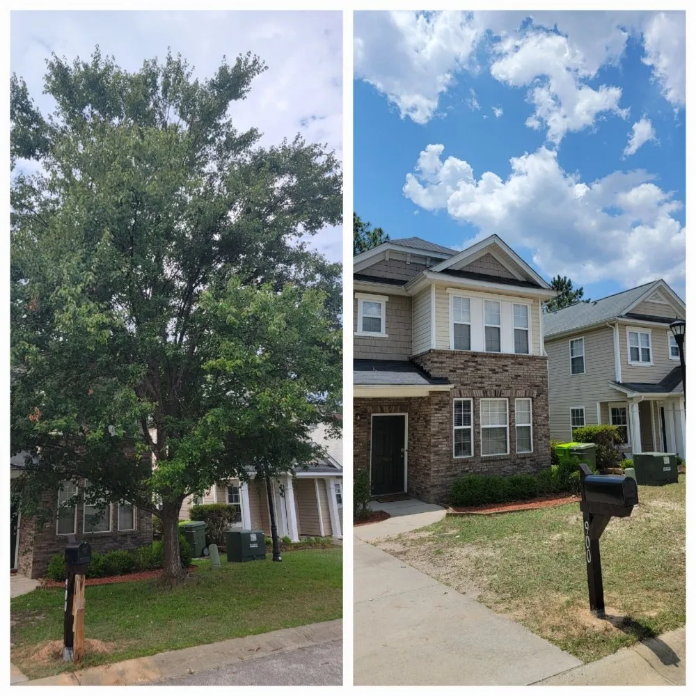 Top-rated residential landscaping near you across Lexington, SC - Holladay's Lawn & Tree Service