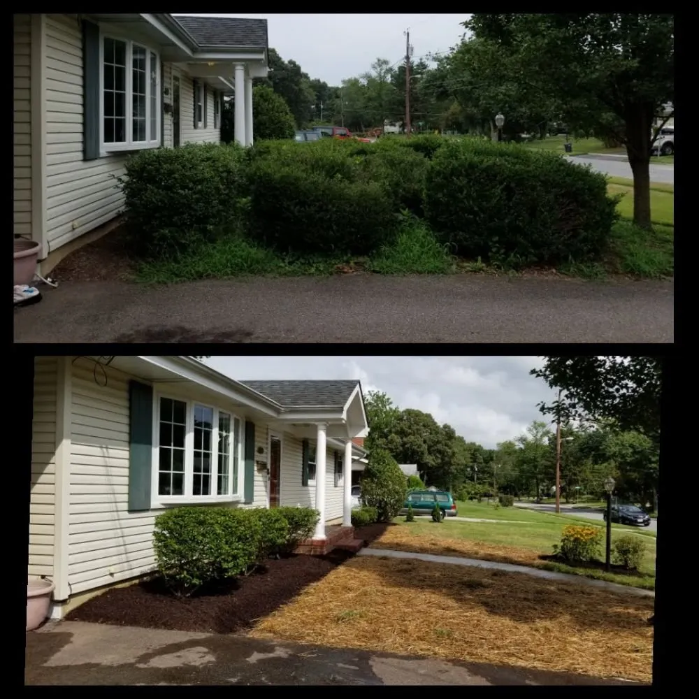 Expert lawn care service in Pasadena, MD - Holland & Sons Services