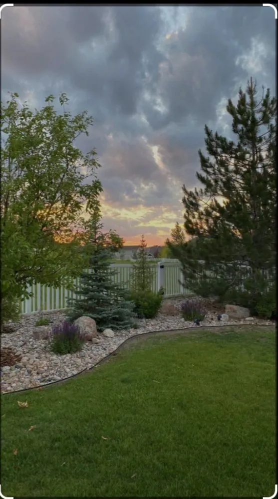 Custom landscape design for year-round maintenance in Rayville, LA by Holland Express