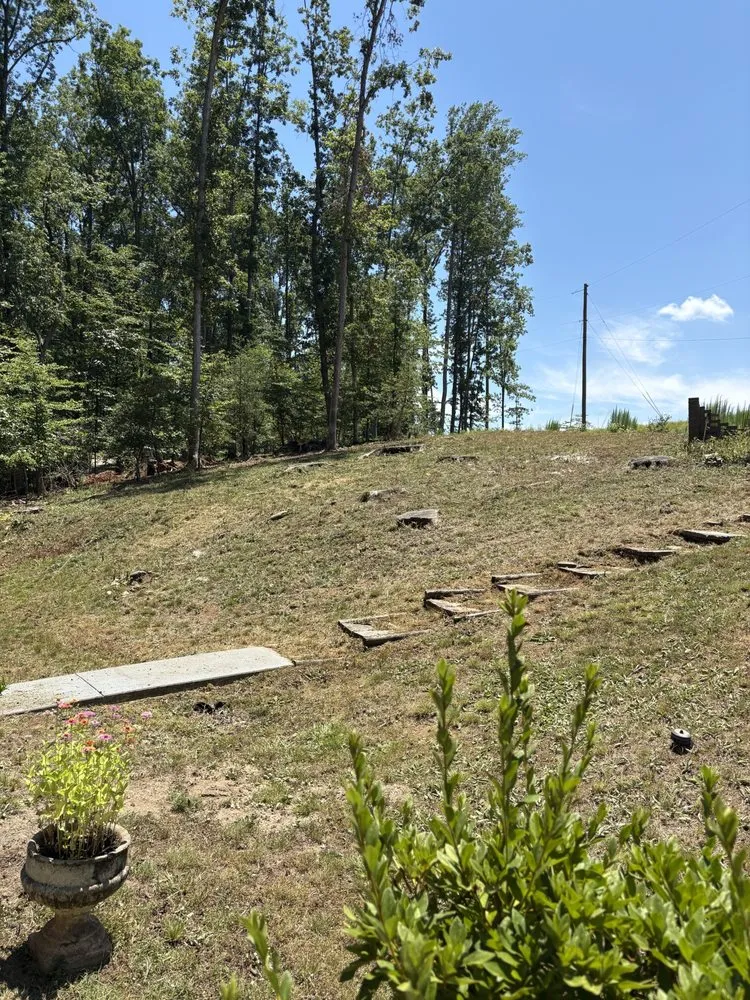 Expert yard maintenance near you across Spartanburg, SC - Holland Home Services