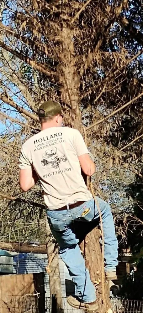 Top-rated landscape installation for residential properties across Monticello, FL - Holland Lawn Service & Maintenance