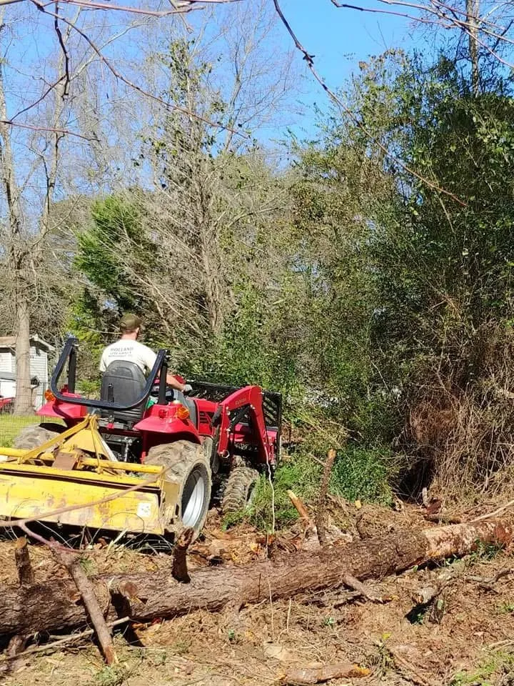 Expert yard maintenance in Monticello, FL by Holland Lawn Service & Maintenance