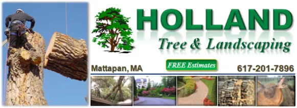 Top-rated lawn care service experts serving Boston, MA - Holland Tree & Landscaping