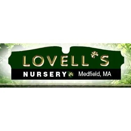 Reliable lawn care service for homes in Boston, MA by Holland Tree & Landscaping