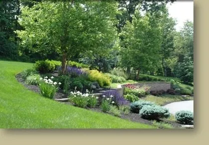 Top-rated lawn care service in Boston, MA by Holland Tree & Landscaping
