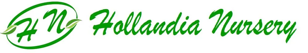 Reliable outdoor landscaping in Modesto, CA by Hollandia Nursery