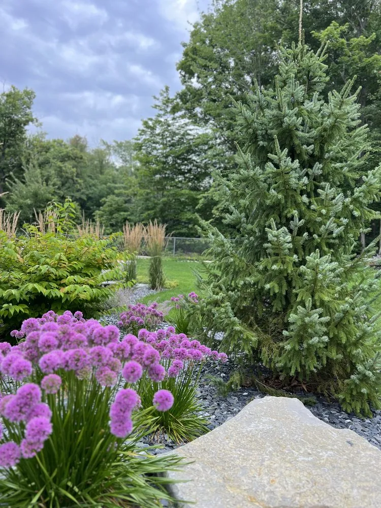 Top-rated lawn care service experts serving Holland, MI - Hollandia Outdoor Living Concepts