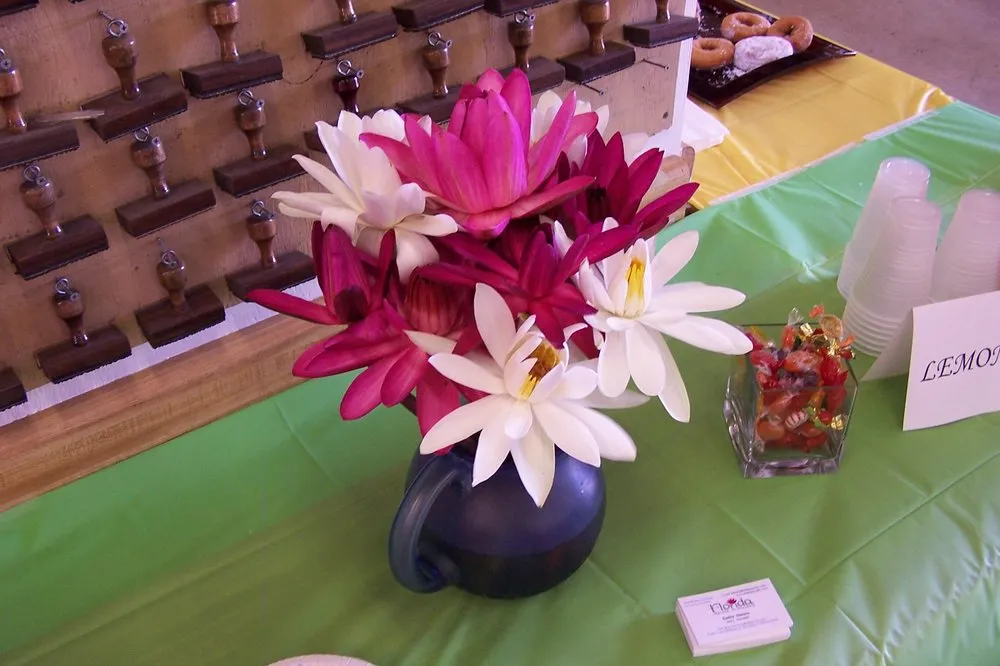 Local residential landscaping for year-round maintenance across Lake City, PA - Holland's Water Garden's