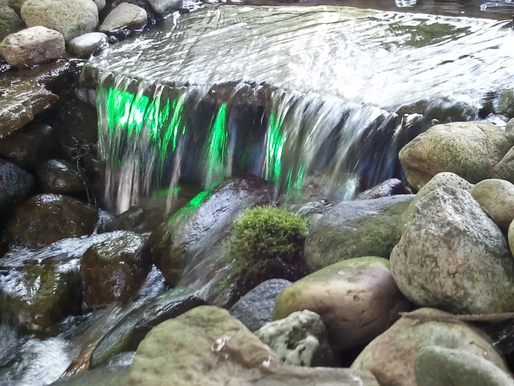 Affordable lawn mowing service for residential properties across Lake City, PA - Holland's Water Garden's