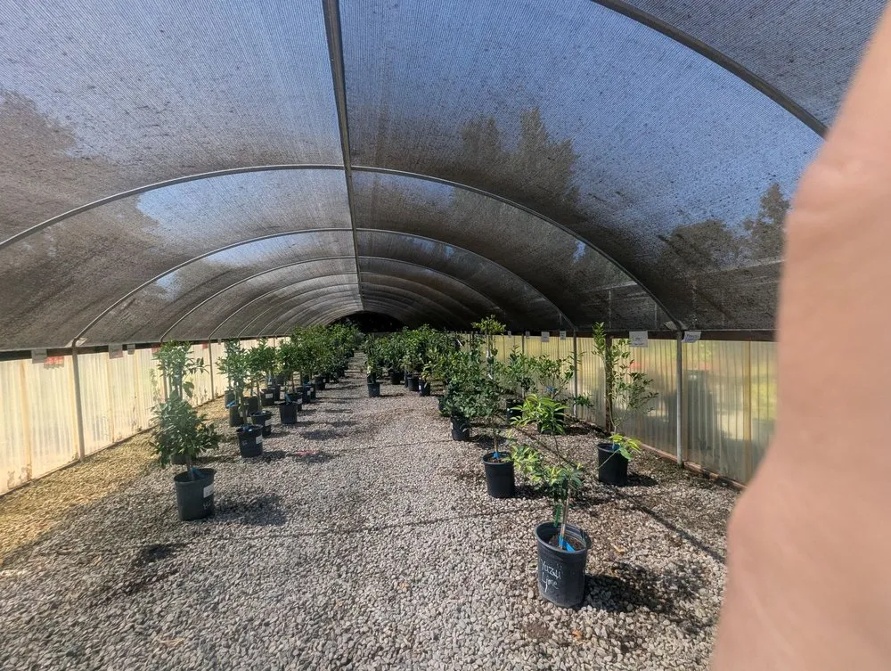 Reliable lawn care service in Lodi, CA by Hollandutch Nursery