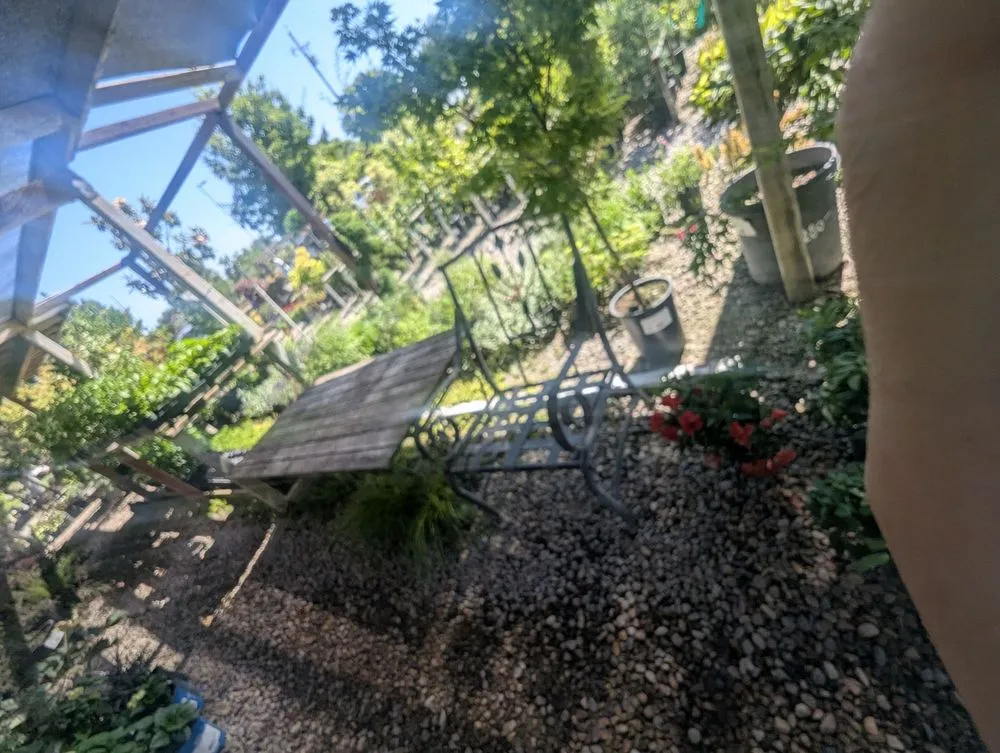 Affordable outdoor landscaping for homes in Lodi, CA by Hollandutch Nursery