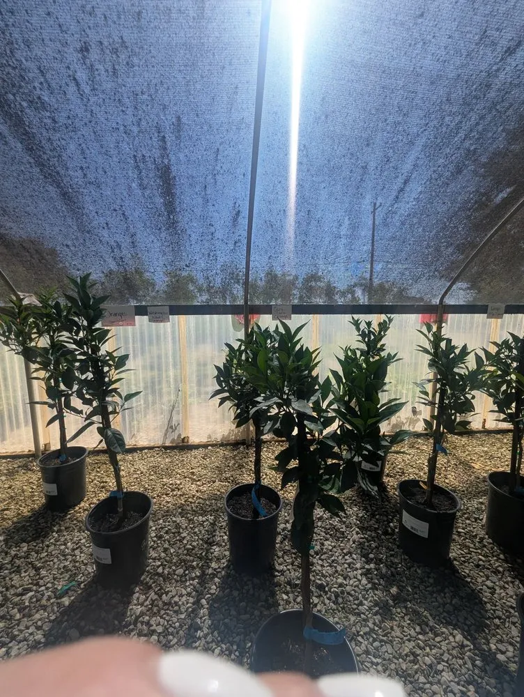 Reliable lawn mowing service in Lodi, CA - Hollandutch Nursery