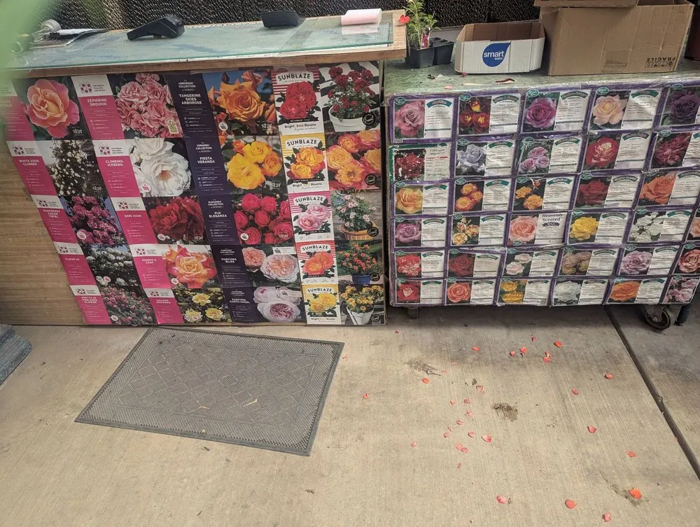 Reliable lawn mowing service experts serving Lodi, CA - Hollandutch Nursery