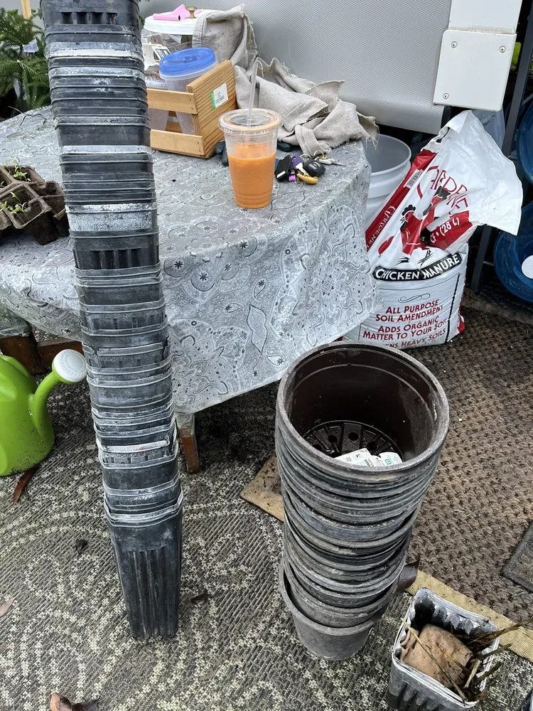 Expert lawn mowing service for year-round maintenance across Lodi, CA - Hollandutch Nursery