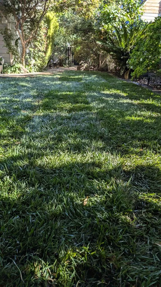 Reliable lawn care service in Lodi, CA - Hollandutch Nursery