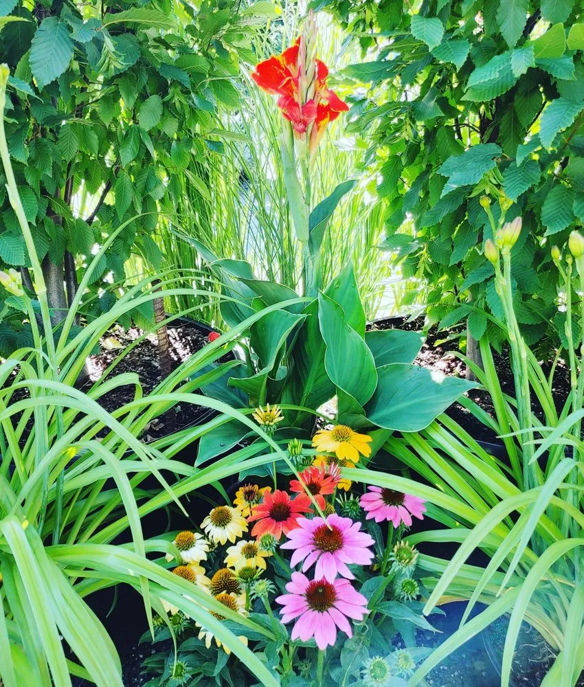 Local landscape design experts serving Clayton, NJ - Hollembeak Garden Design