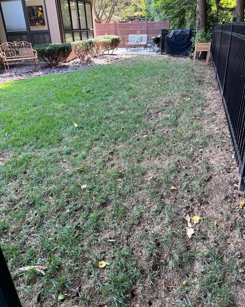 Custom landscaping services for residential properties in Quincy, IL by Hollensteiner Lawn Care