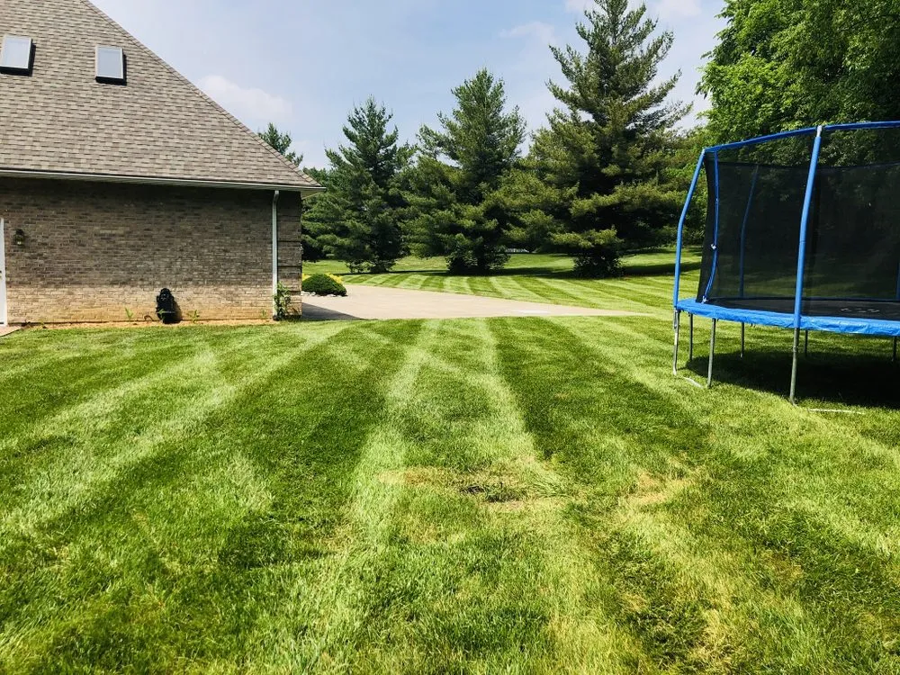 Local yard cleanup service in Quincy, IL - Hollensteiner Lawn Care