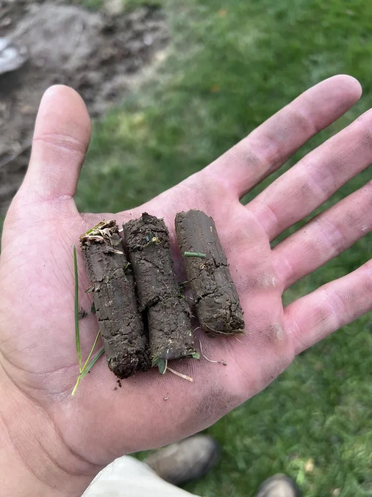 Professional landscape installation experts serving Quincy, IL - Hollensteiner Lawn Care