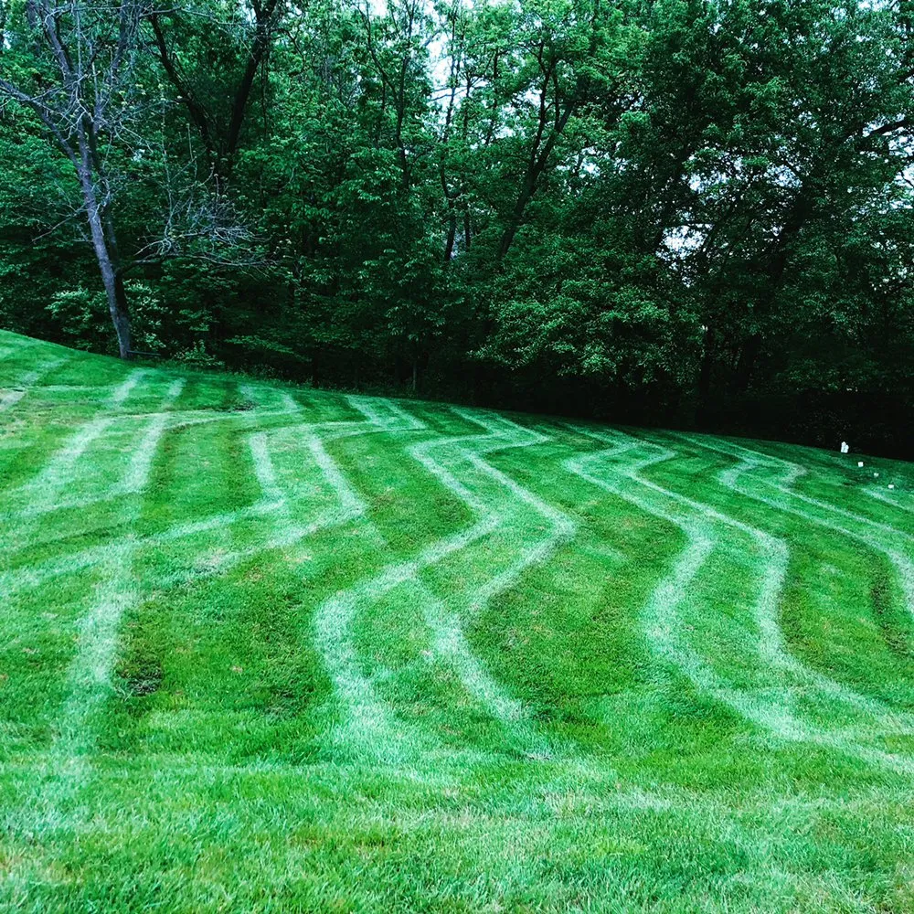 Trusted yard cleanup service for outdoor upgrades in Quincy, IL by Hollensteiner Lawn Care