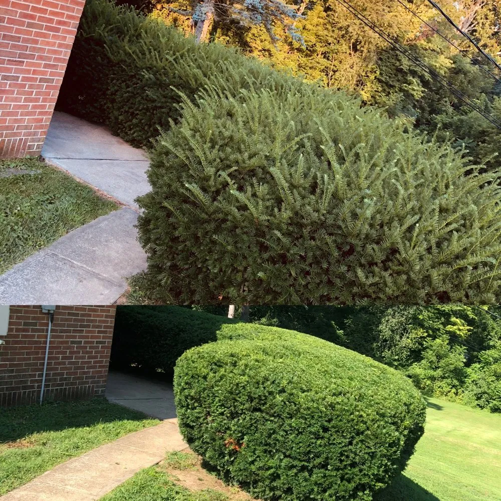 Expert outdoor landscaping in Quincy, IL by Hollensteiner Lawn Care