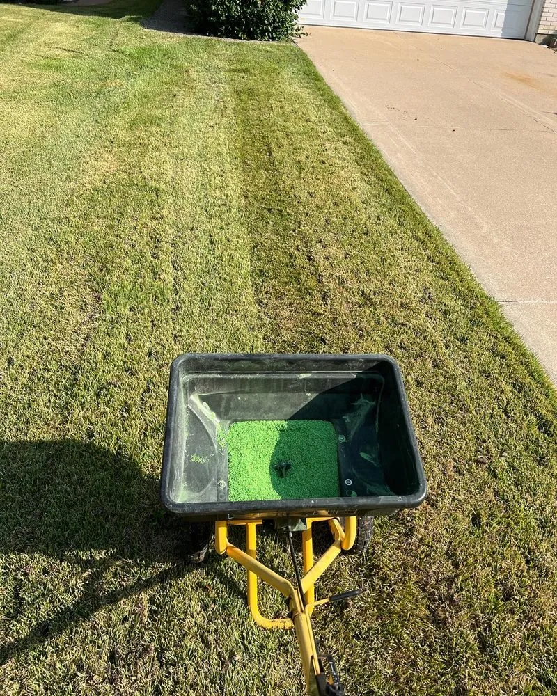 Local yard cleanup service with custom design across Quincy, IL - Hollensteiner Lawn Care