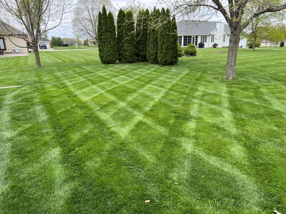 Custom yard cleanup service for residential properties in Quincy, IL by Hollensteiner Lawn Care