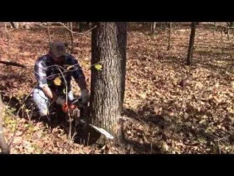 Custom outdoor landscaping in Ingram, TX - Holler Bois Tree Services and Lawn Care