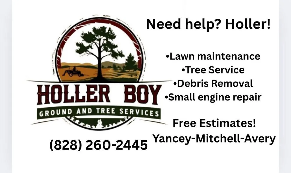 Top-rated yard cleanup service in Bakersville, NC by Holler Boy