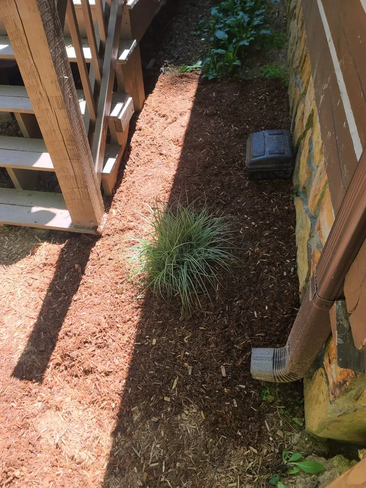 Reliable landscaping services in McCaysville, GA by Holler Farm Services