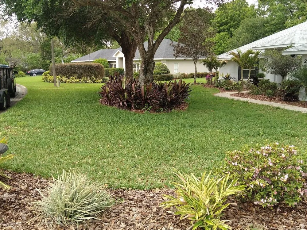 Expert yard cleanup service experts serving Winter Haven, FL - Holley Clean Cuts