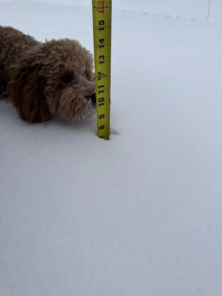 Custom lawn mowing service in Newport, PA - Holley's Outdoor Solutions