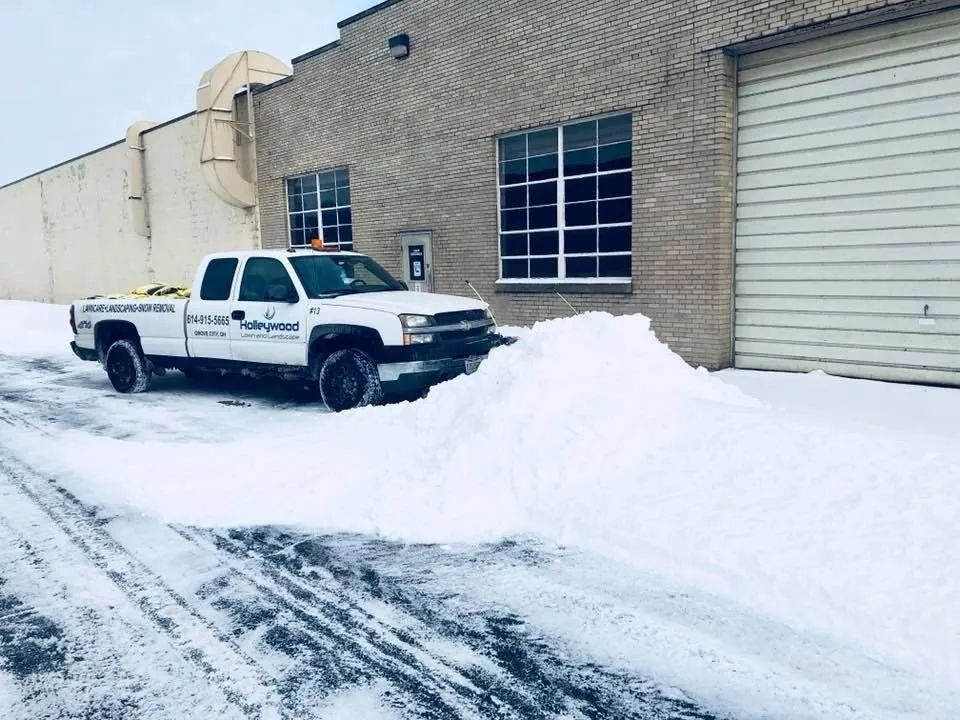 Expert lawn care service for year-round maintenance in Grove City, OH by Holleywood Lawn And Landscape