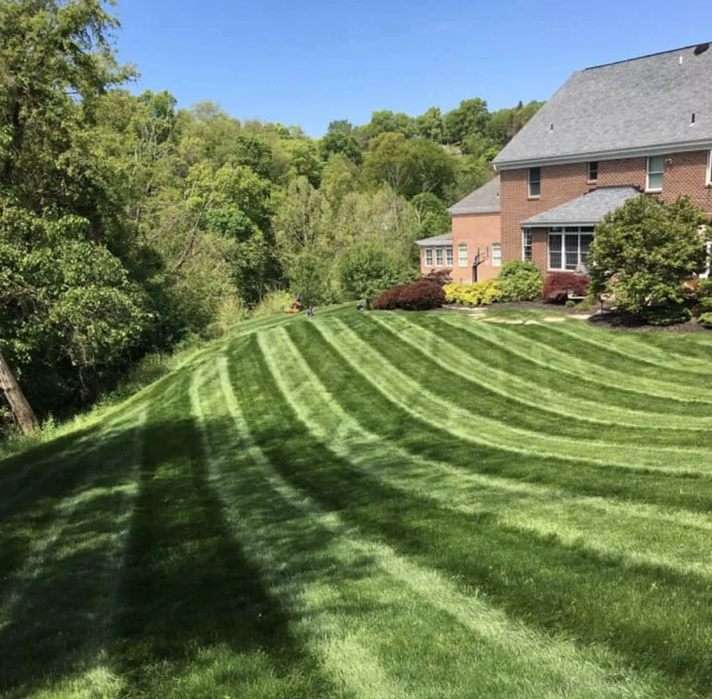 Trusted lawn care service for year-round maintenance in Grove City, OH by Holleywood Lawn And Landscape