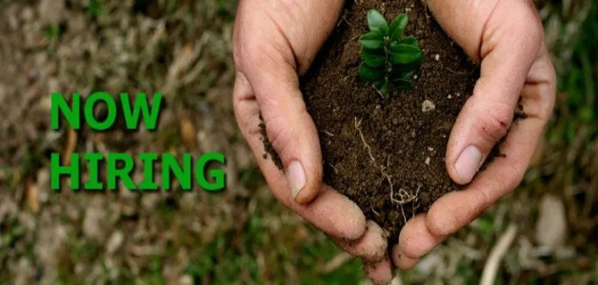 Professional landscape installation for beautiful yards across Grove City, OH - Holleywood Lawn And Landscape