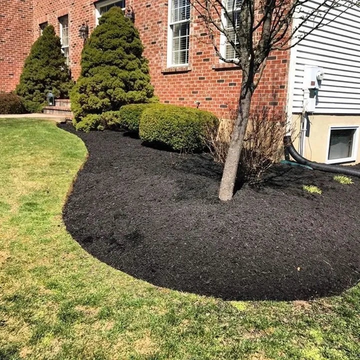 Professional residential landscaping in Grove City, OH - Holleywood Lawn And Landscape
