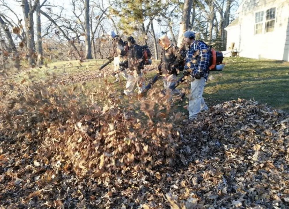 Expert landscape design for year-round maintenance across Grove City, OH - Holleywood Lawn And Landscape