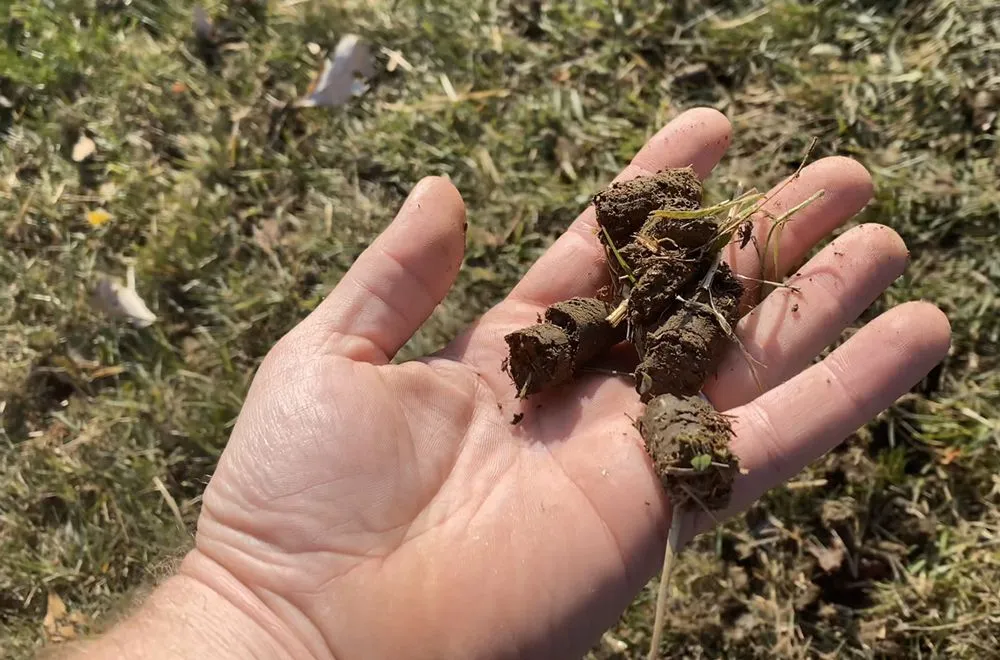 Expert yard maintenance in Grove City, OH - Holleywood Lawn And Landscape