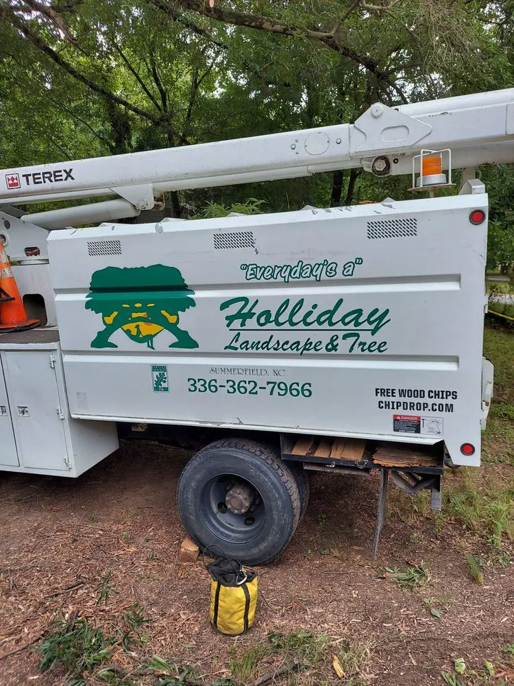 Expert landscape installation for beautiful yards across Summerfield, NC - Holliday Landscape & Tree