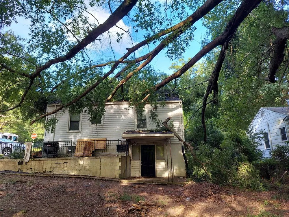 Expert landscaping services in Summerfield, NC by Holliday Landscape & Tree