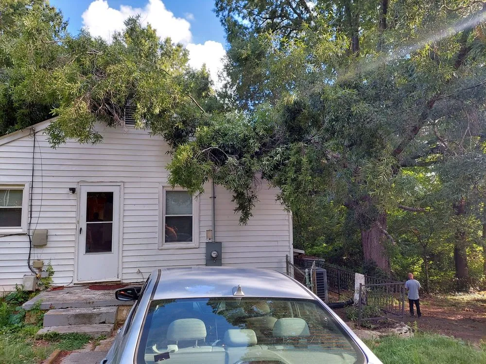 Affordable lawn mowing service in Summerfield, NC - Holliday Landscape & Tree