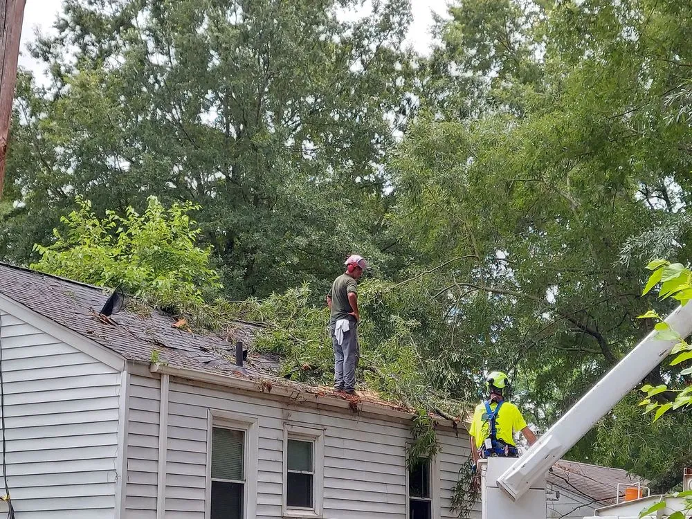 Affordable outdoor landscaping experts serving Summerfield, NC - Holliday Landscape & Tree