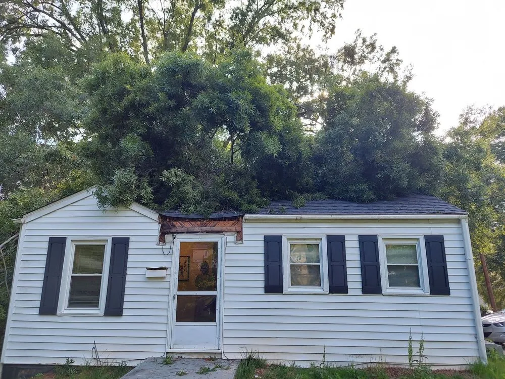 Top-rated landscape design in Summerfield, NC by Holliday Landscape & Tree