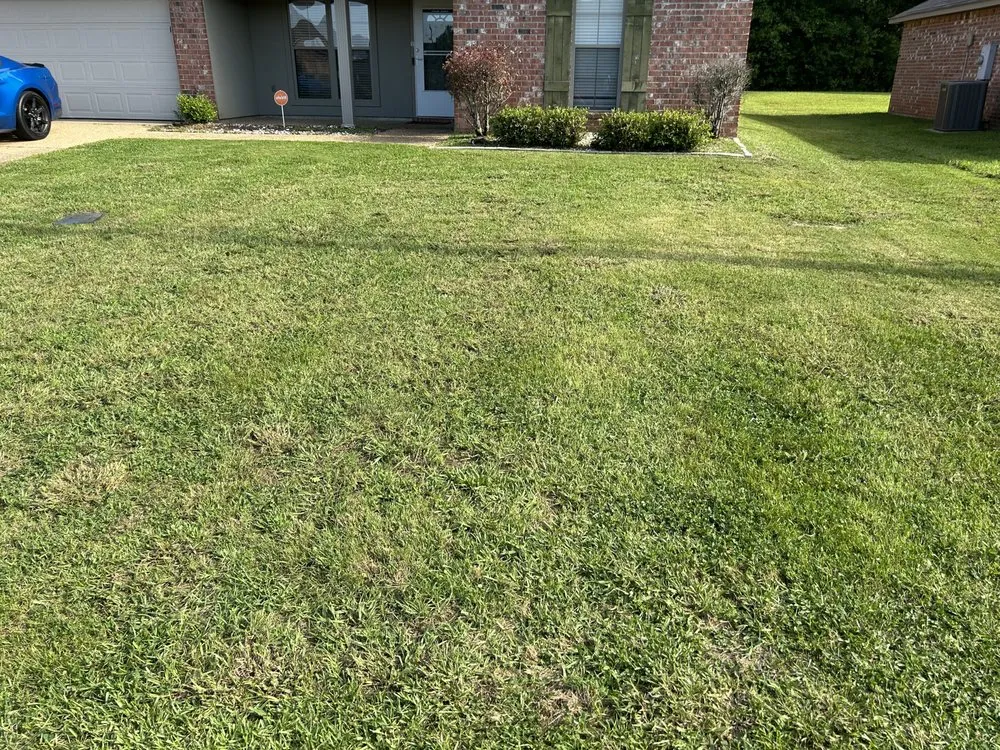 Top-rated residential landscaping in Jackson, MS - Hollingbird Lawn Cutting Services