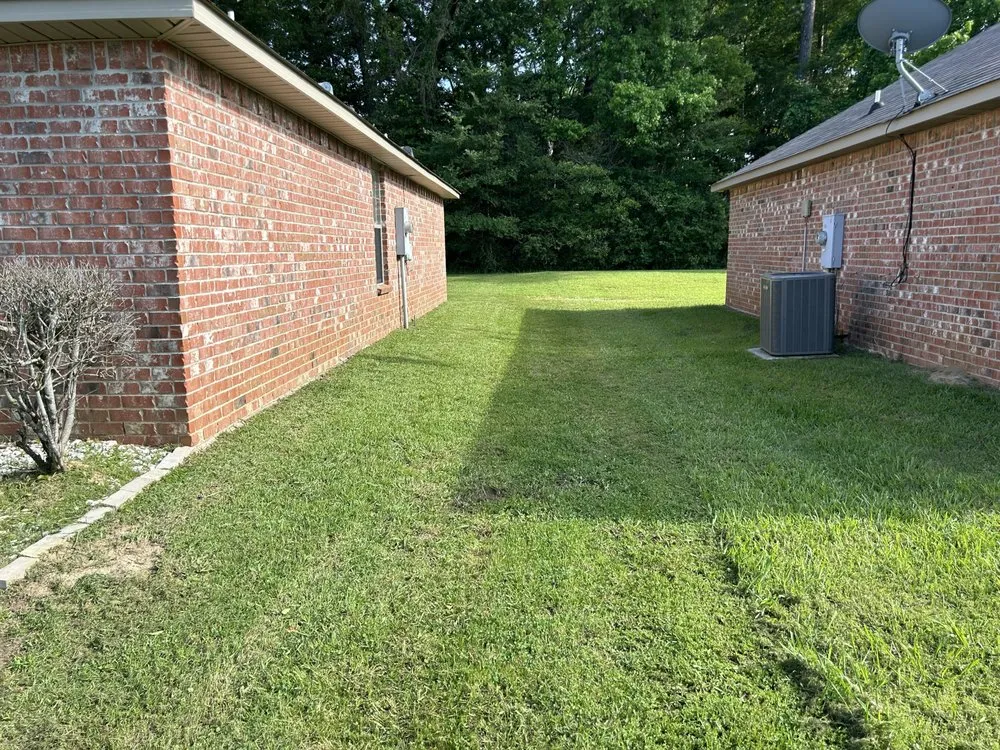 Professional landscaping services in Jackson, MS - Hollingbird Lawn Cutting Services