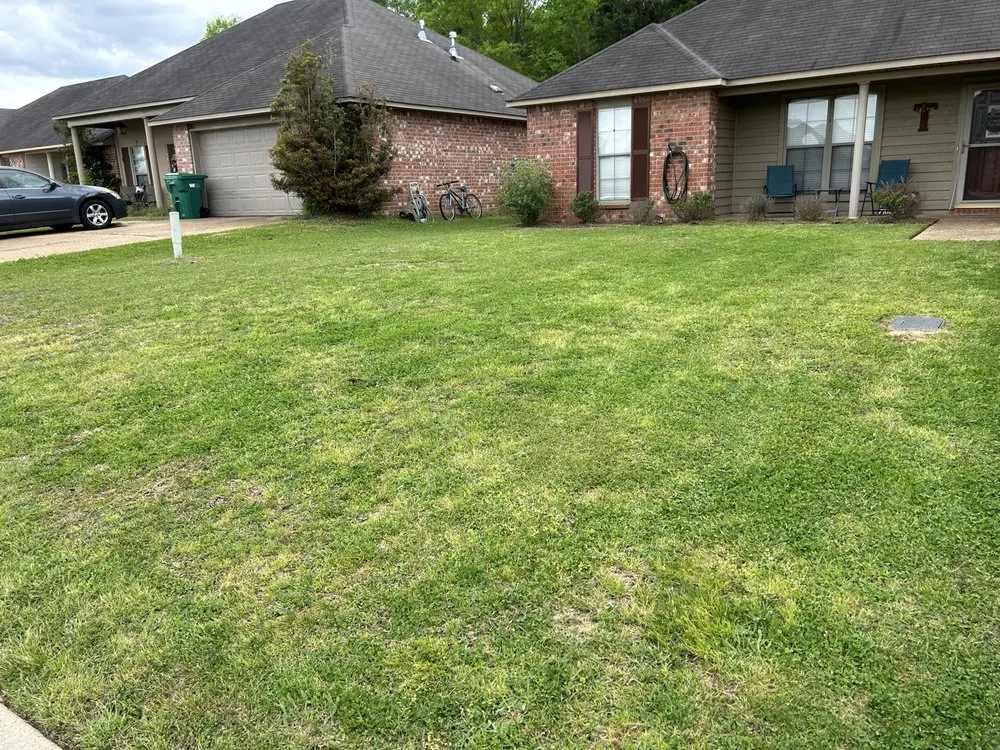 Local yard maintenance near you across Jackson, MS - Hollingbird Lawn Cutting Services
