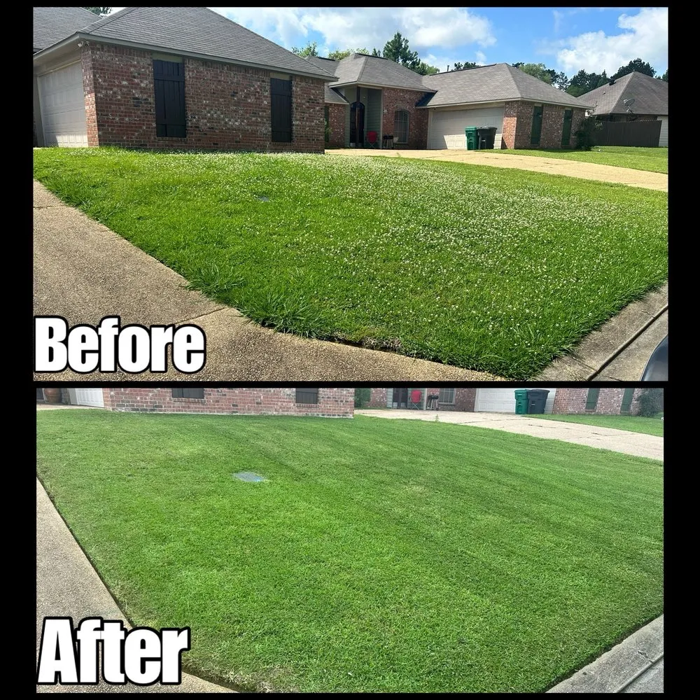 Custom yard maintenance for homes in Jackson, MS by Hollingbird Lawn Cutting Services